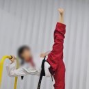 최강하늘태권도 이미지