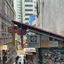 J캣 | [홍콩] #8. 홍콩 셩완 골목 구경 캣 스트리트 : 위치, 볼거리, 쇼핑 카페 등