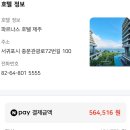 파르나스 제주 여름호캉스 인피니티풀•조식뷔페 후기 #내돈내산