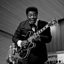 비비킹(B.B.KING) 이미지