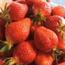 백산휴게소 이미지