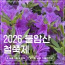 지에스25상계정원점 | 서울 4월 행사 추천 불암산 나비정원 철쭉동산 철쭉제