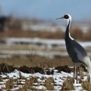 철원식품 이미지