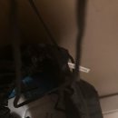 축구공(감동) | 7살 남아 어린이날 선물 추천 | 할머니 손에 들려온 축구공 (야외활동 필수템)