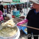 남면옥수수 이미지