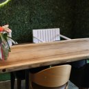 버블독스 이미지