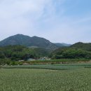반암경로당 이미지