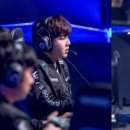 렉스파크 이미지