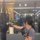 알파복싱 이미지