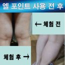 셀다이어트