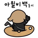 1872 핀 이미지