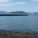 세포보건진료소 이미지