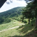 배실목장 이미지