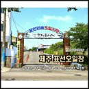 표선면 표선리 재활용 도움센터 | 제주도 오일장 제주 서귀포 5일장 재래시장 표선오일장 모종, 몸빼바지 쇼핑