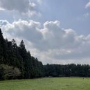 제주도 모녀여행 2일차_비밀의숲, 광치기해변, 소금바치순이네, 우연히그곳, 다랑쉬오름, 고망난돌, 열정돈