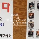 DOGZONE 네이버블로그