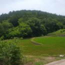 미가공인중개사사무소 이미지