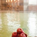 애플랜드 이미지