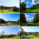 블루헤런G.C 이미지