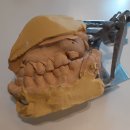 미래로치과의원 이미지