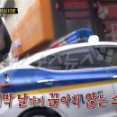돈가스식당 이미지