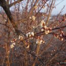 다오건설(주) 이미지
