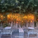 안암로 | [대나무다방] 서울 성북 고대앞 안암카페 내돈내산후기