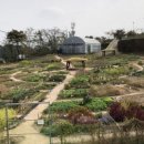 대전광역시 농업기술센타 이미지