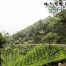 DK행정사 이미지