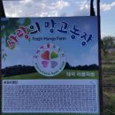 할렐루야농장 이미지