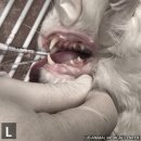 부산 리브동물의료센터 이미지