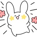 모도리(빈틈없이여무지게)