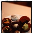 봉봉쇼콜라(Bonbon Chocolat)