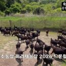 윙윙흑염소 네이버블로그