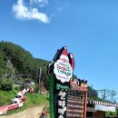 춘양면사무소 이미지