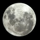 달(moon)