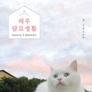 생활서가 이미지