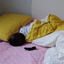 릴리펏 동대문점 이미지