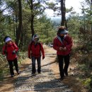 알미목장 이미지