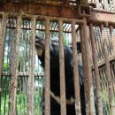 웅담2농장 이미지