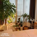 분당-382 | 루오나에스테틱 분당피부관리 받고 얼굴 컨디션 달라진 후기