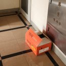 태양청과 이미지