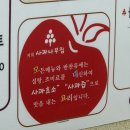 사과집 | 충주 제천 청풍호 모노레일, 케이블카 근처 맛집 사과나무집 내돈내산 후기