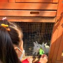 해솔유치원 이미지