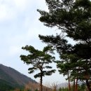 졸드루야영장 이미지