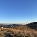 팔레스마트