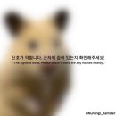 11월 주간일기