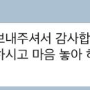 돌담펫호텔 이미지