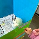 다솜생태체험관 이미지