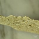 (주)하이템 | 오필리 오트칩 다이어트 간식 나의 입맛에는 솔직하게